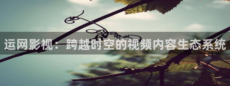 星空影院免费观看电影大全