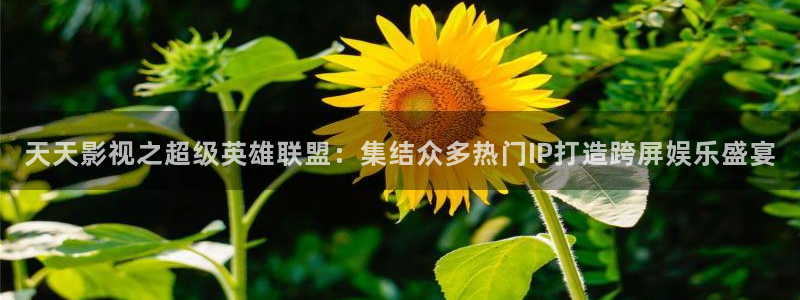 杀戮天使星空影院